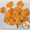 Orange 2-headed angel hydrangea