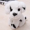 Dalmata