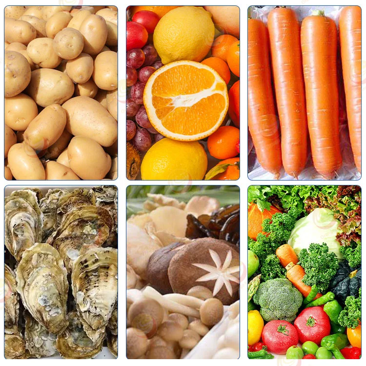 Carrot Seafood Cassava Date Shell Fish Wash Polish Machine Brush and Clean Fruit and Potato
