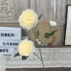 GZH-3 Head Ranunculus Asiaticus-Champagne
