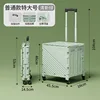 Standard 55L - Light Green