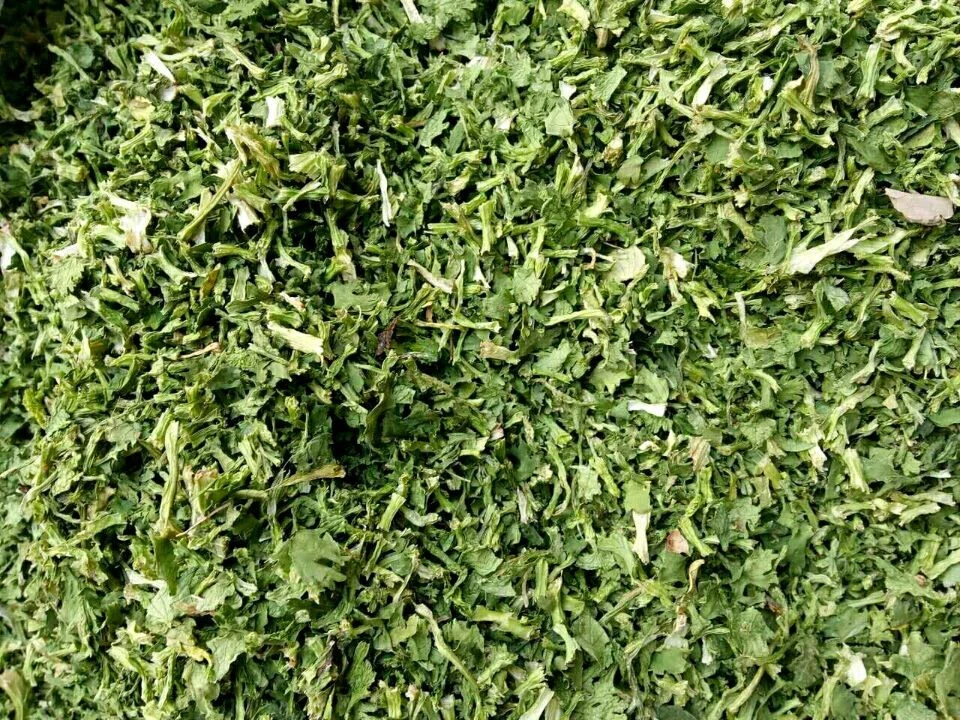 Bulk Dehydrated Coriander | Wholesale Supplier H3094b70b1ed347fc967d47ec0a052bdf1