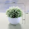 Bianco Verde