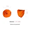 Giallo arancio
