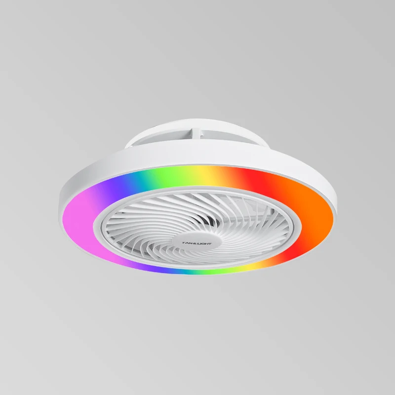 Grootwinkel BLDC Plafondventilator Lamp Ventilador DE Techo LED Dimbaar 3 ABS-bladen Moderne plafondventilator met licht en afstandsbediening