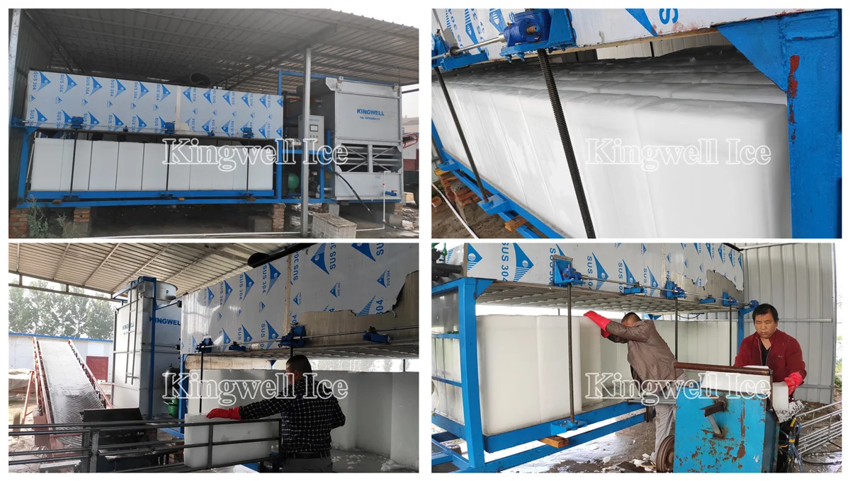 Big Ice Cube Machine Block Ice Maker Machine 10 Ton Hot Sale for Bahrain Israel Saudi Arabic