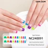 NC240091