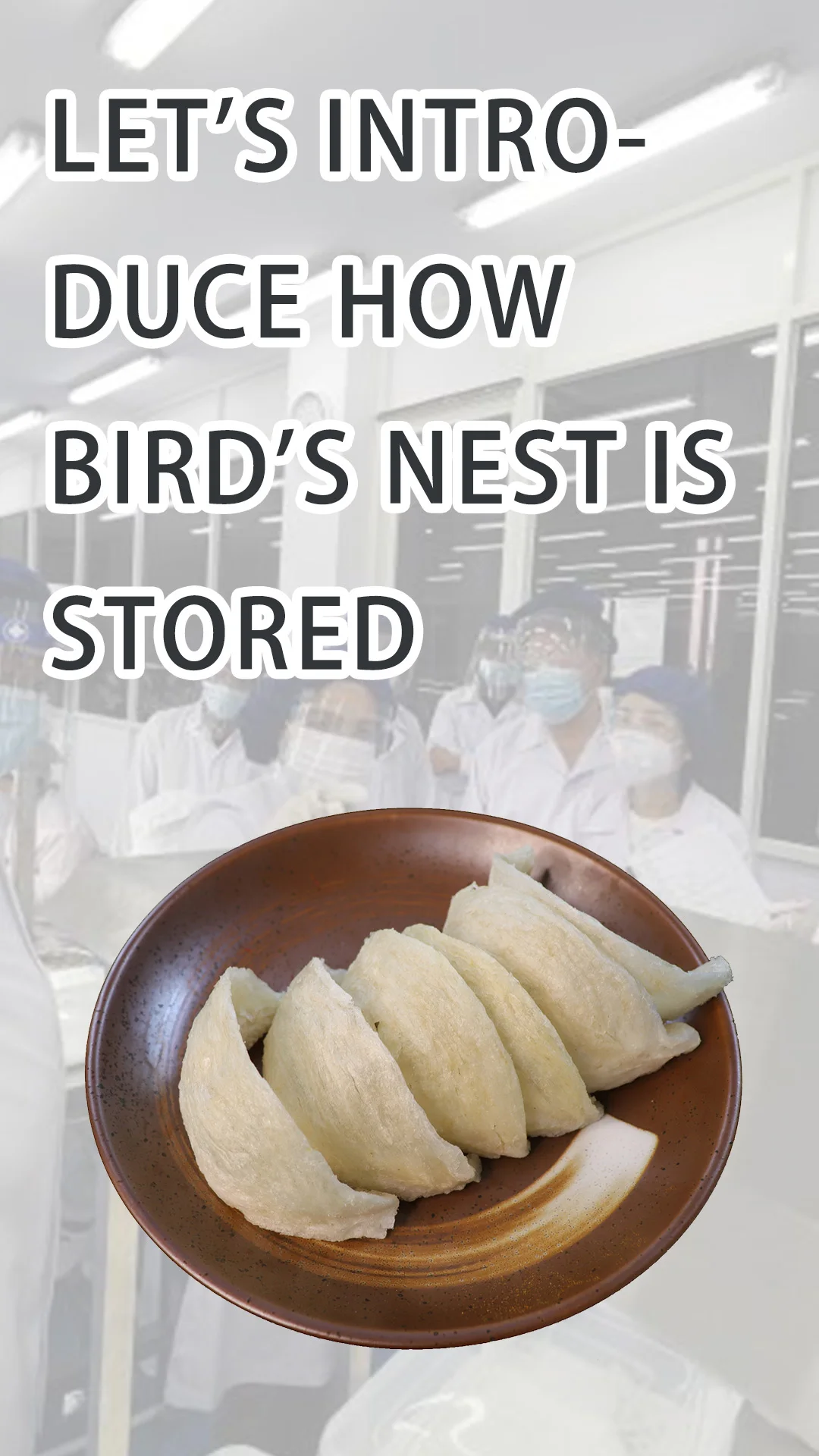 Wholesale Edible Swallow Collagen Dry Cleaning Swiftlet Nest Supper