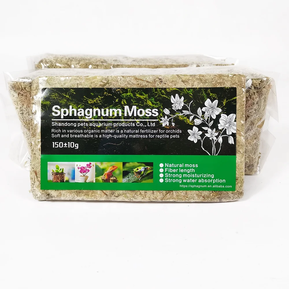 Top Grade A Quality Sphagnum Moss - Best for Orchids and Pet