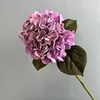 สีชมพู
