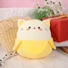 Gatto