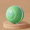 P06 Dog Jumping Ball