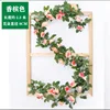 16-head French rose (champagne color) 1 bar