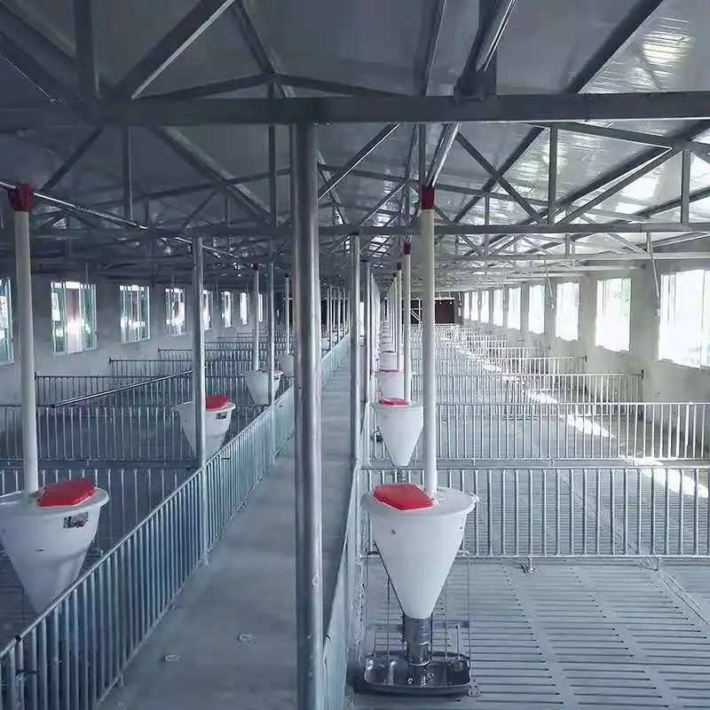 Pig Farm Automatic Plug Tray Feeding System, Sow, Fattening Pig Automatic Feeding Equipment