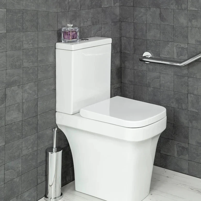 Western Commode Designer Bathroom Rimless Wholesale WC Ceramic Sanitary Toilet Bowl Toilet With Bidet Function