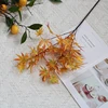 Orange yellow