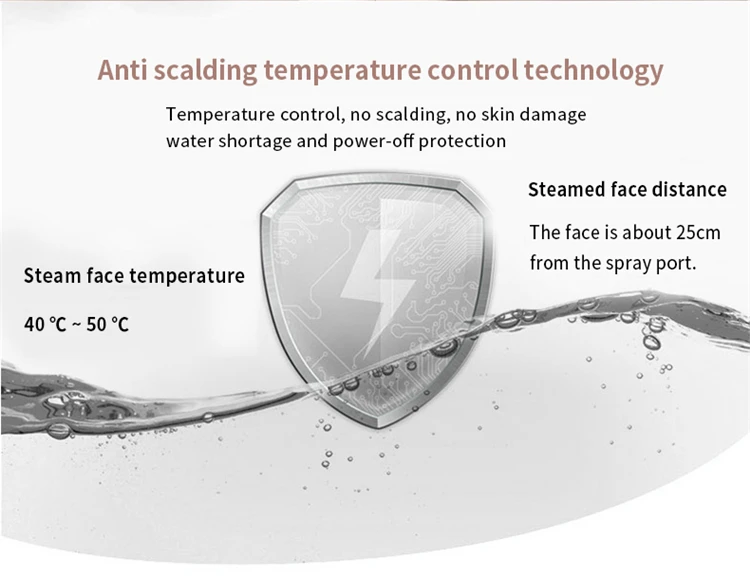 Facial Steamer