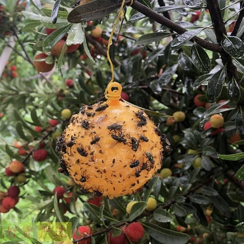 Suspension Type Insect Prevention Glue Ball Fly Sticky Trap for Effective Pest Control