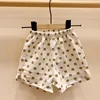Khaki dot