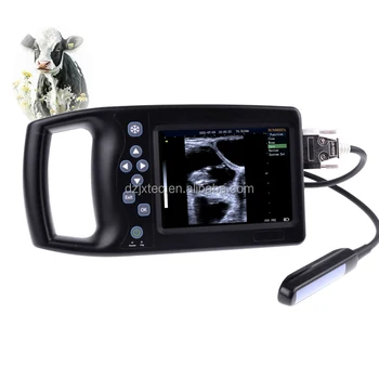 Economical Mechanical Fan Scan Ultrasound Scanner Palm Pocket Handheld Veterinary Ultrasound Diagnostic System