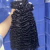 burmese curly