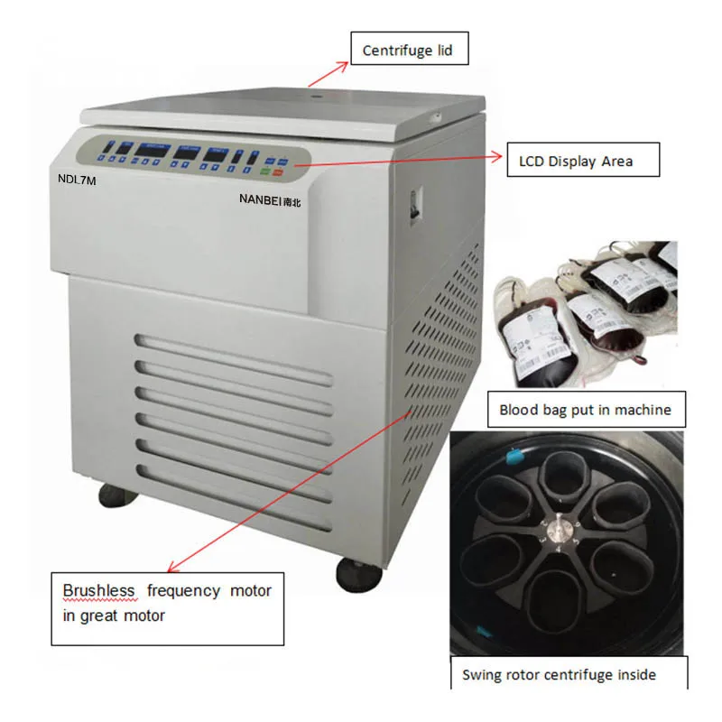 Laboratory centrifuge - Macrofriger-BLT-Blood - J.P Selecta -  floor-standing / vertical / refrigerated