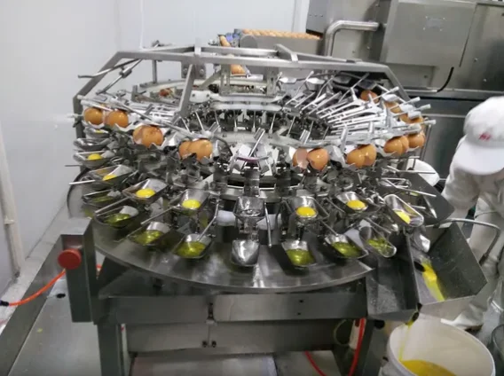 product-1-1 product-1-1