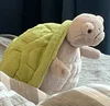 Timmy Turtle
