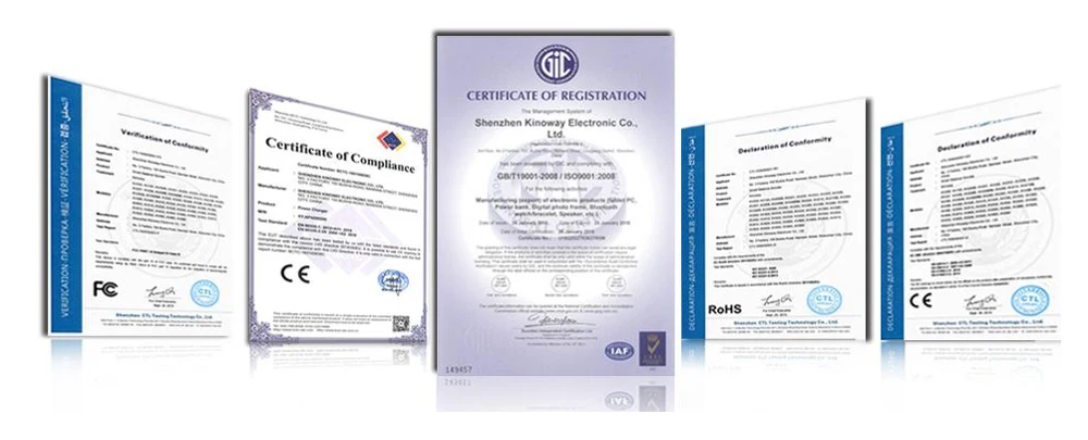 顶级电动自行车radrover 6 plus胖轮胎电动自行车-rad 20英寸复古胖