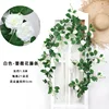 Rose vines - white