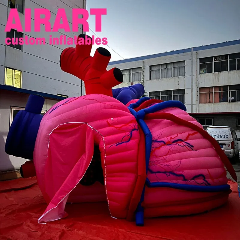 Giant Inflatable Human Organ Heart Inflatable Cardiac Inflatable Body ...
