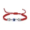turtle/red string
