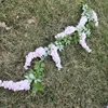 Glycines grimpantes, rose pâle