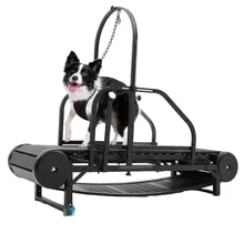 Height Adjustable Treadmill for Large and Medium-sized Dogs Pet Training Supplies with Pedometer and Brake