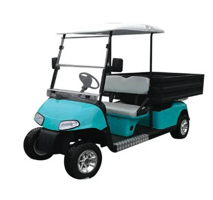 New In 2025 Parison 2 Seats 4 Wheel luxury Electric Golf Tool Cart Off-Road Hunting Steel 48V 2025SDZX12PTPR281