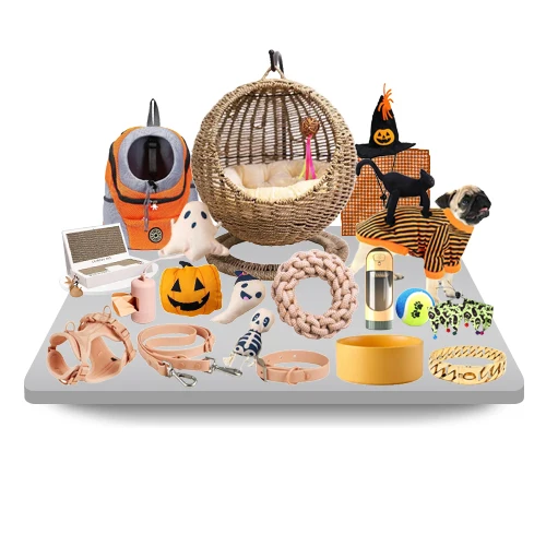 Customized Design Cactus Image Sailboard Image Cat Scratching Post Cardboard Cat Scratcher Oem Odm Available