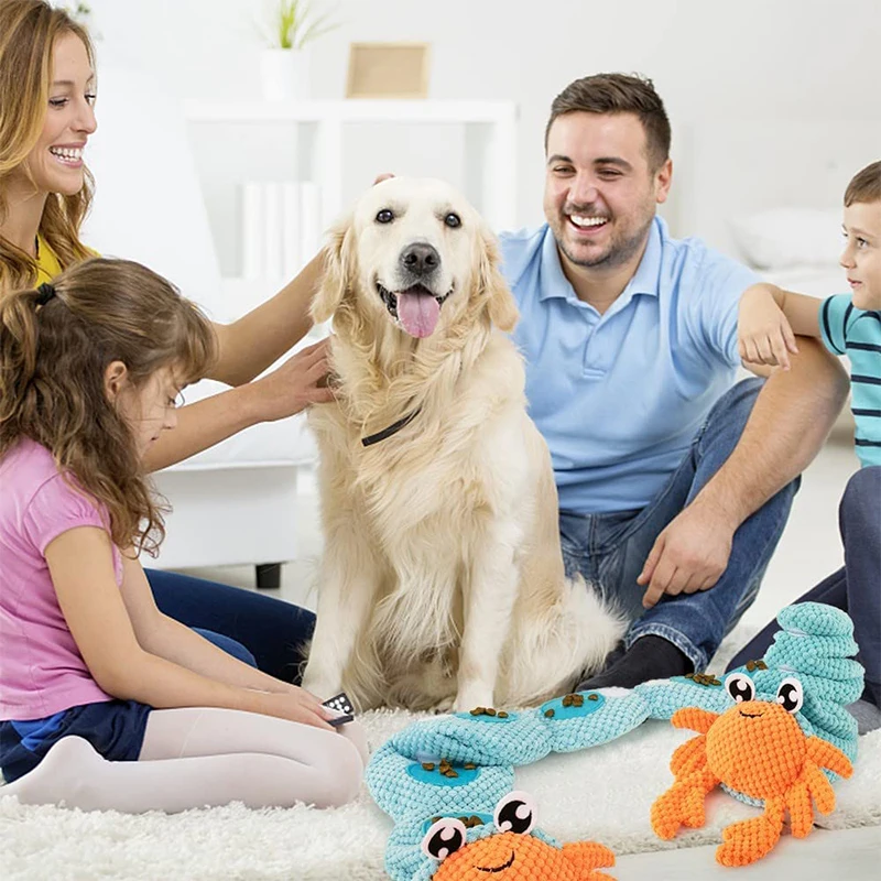 Crinkle Squeaky Dogs Teething Chew Toys Set For Small Medium Large No