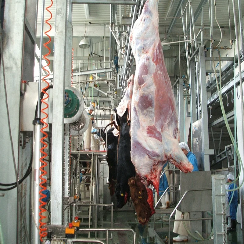 Professional Cow Slaughter Machine Skinning Machinery for Cattle Abattoir Plant Butcher Equipment for Cattle Slaughter Line