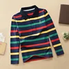 Coarse Stripes 2010-1