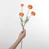 Linglong thé rose orange 60cm