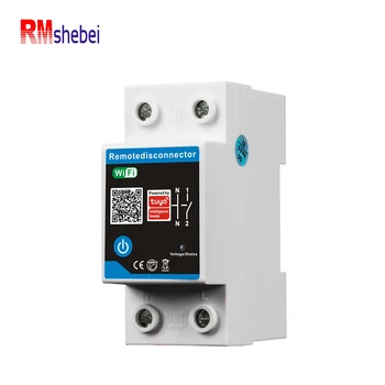 RMshebei Smart Circuit Breaker 63A 2P WiFi Tuya App Smart Life App Control 220V Remote Timer Switch 6ka Breaking APP monitoring