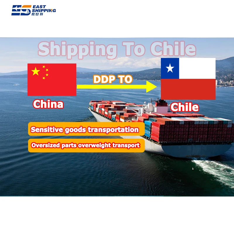 China Chile FOB Panama Colombia Shipping Agent To Peru Brazil Sea Bolivia Forward Freight DDP Forwarder Freight Forwarder Chile