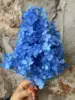 blu 3