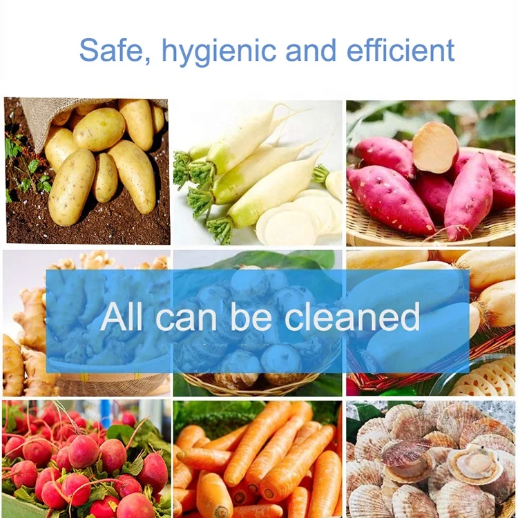 Commercial Root Vegetable Potato Cleaning Peeling Machine Ginger Washing and Peeling Machine
