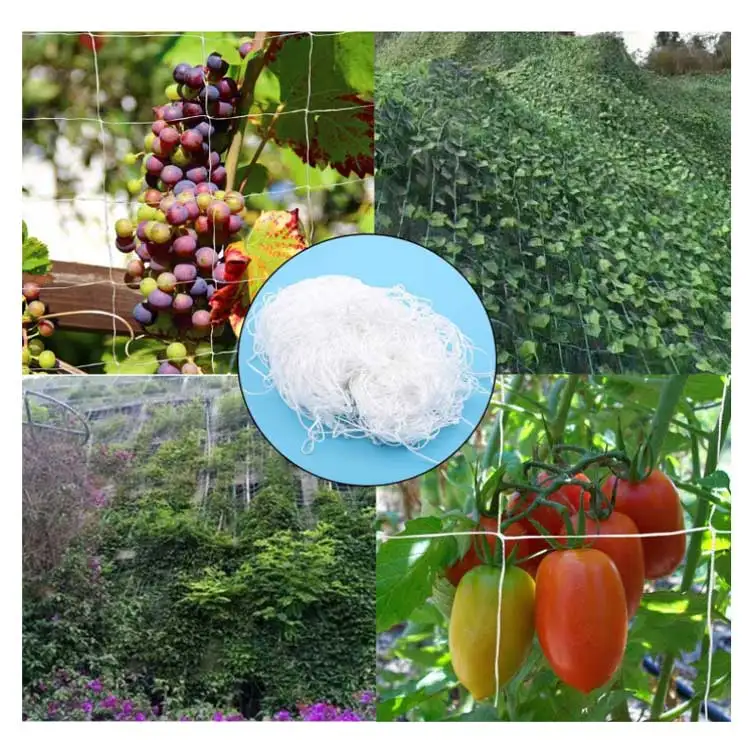 Agriculture Trellis Netting Roll 4 Inch Mesh Cucumber Trellising Net