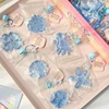 Ocean Squeeze - Buy 24 or more and get a free box.