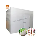 customized cold room cold storage for potato, onion, carrots
