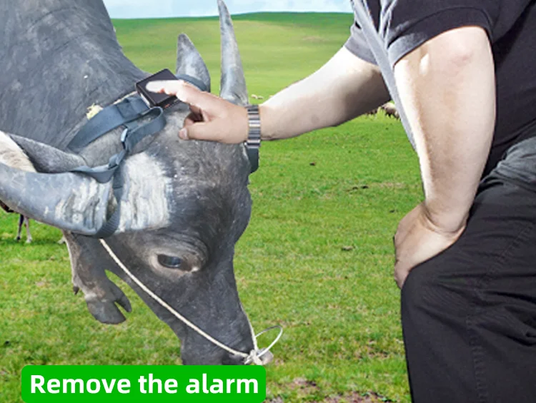 Reasonable Price GPS tracker for Cattle Solar GPS Tracking Device for Boat Manufacturer High Quality Horse Sheep GPS tracker