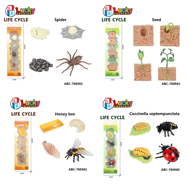 New Arrival Life Cycle Toy Insect Fish Rooster Butterfly Plant Animal Growth Life Cycle