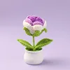 สีม่วง